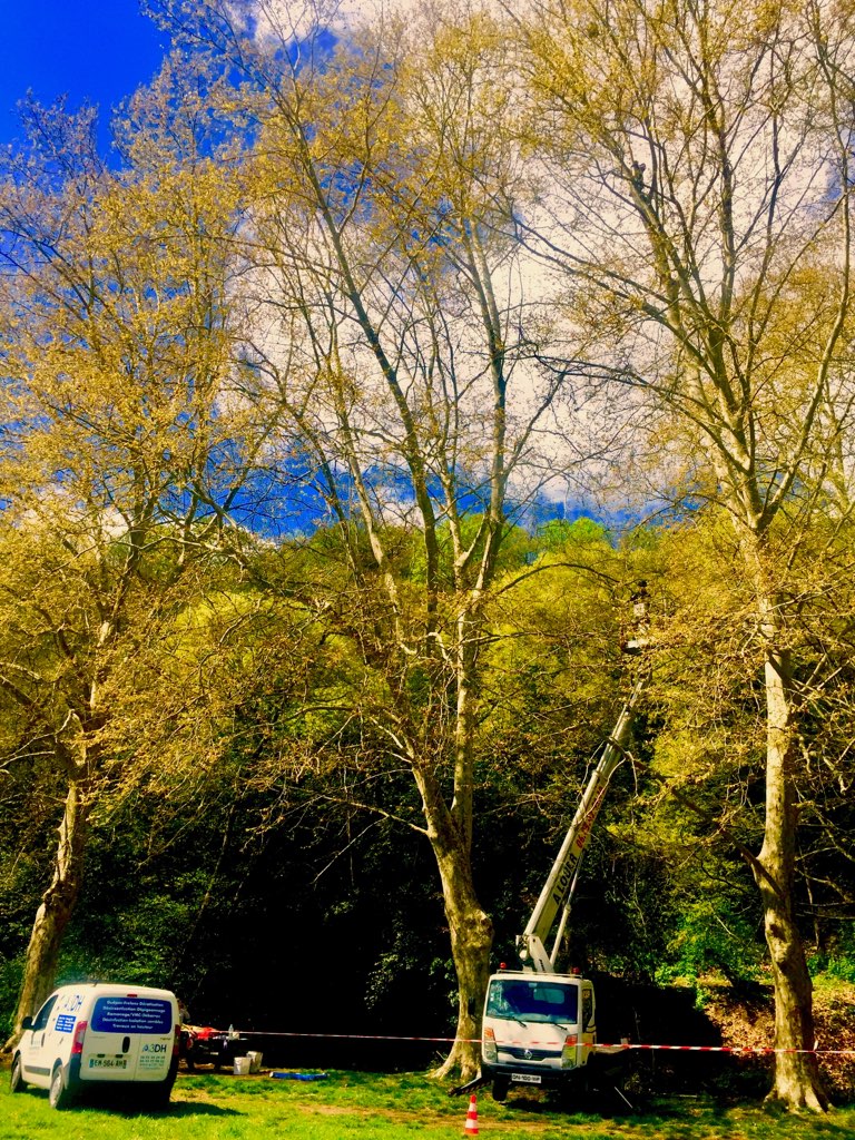 Photo n° 10 de l'avis de Christophe.o fait le 17/11/2018 à 21:08