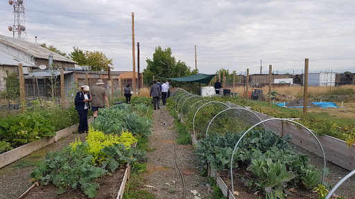 Social Services Organization «Helena Food Share», reviews and photos