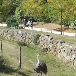 Photo n° 22 de l'avis de christophe.a fait le 15/09/2019 à 17:01 pour Parc animalier et botanique & Parcabout de Branféré à Le Guerno