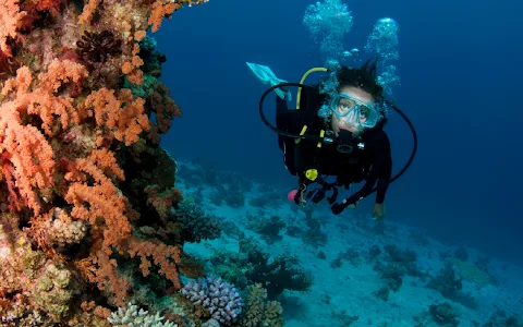 Crystal Divers Mauritius image