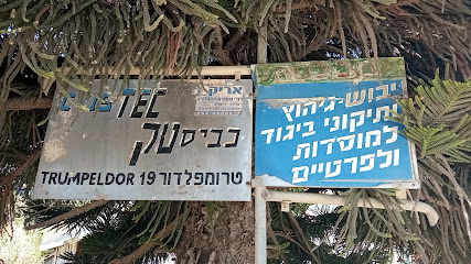 תמונה