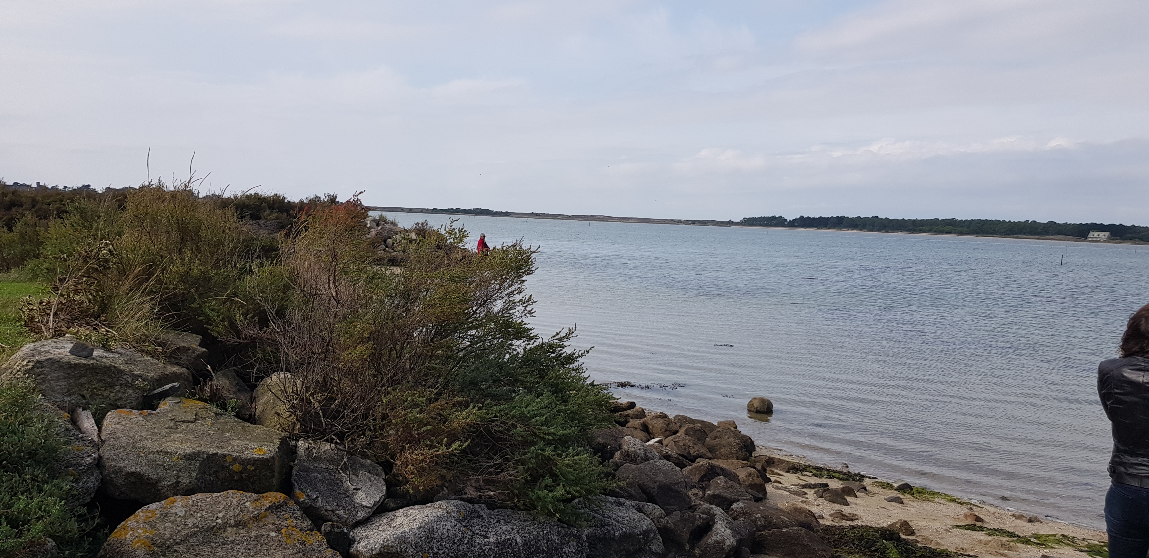 Photo n° 3 de l'avis de dragon. fait le 29/11/2019 à 13:16