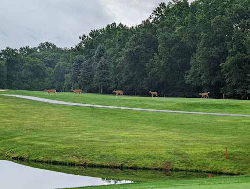 Golf Course «Fox Den Golf Course», reviews and photos, 2770 Call Rd, Stow, OH 44224, USA