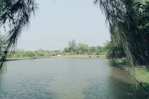 ঝড়খালি উদ্যান Jharkhali Park image