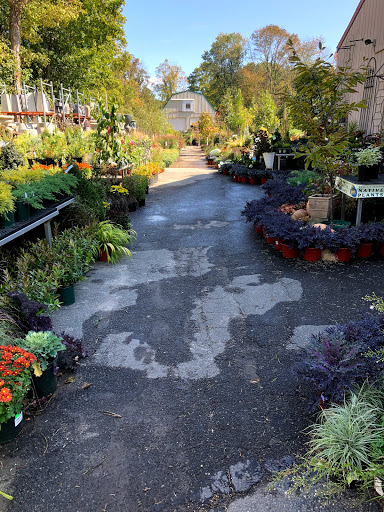 Garden Center «Copia Home and Garden», reviews and photos, 475 Smith Ridge Rd, South Salem, NY 10590, USA