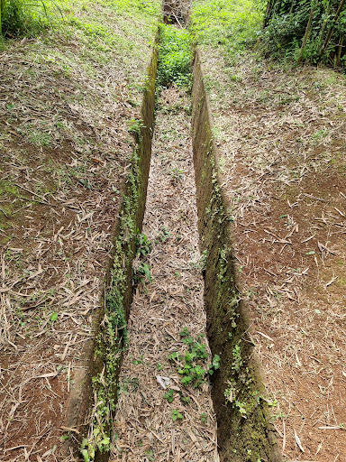 Top 20 cửa hàng 2guys1box Huyện Vĩnh Linh Quảng Trị 2022