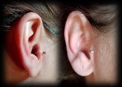 Tattoo Shop «Tit 4 Tat Tattoo Studio Inc.», reviews and photos, 45571 Mound Rd, Shelby Charter Township, MI 48317, USA