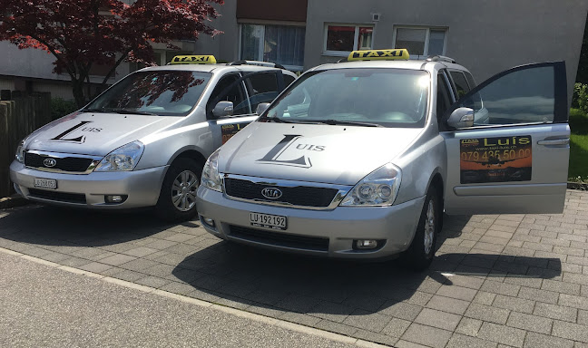 Rezensionen über Taxi Luis in Luzern - Taxiunternehmen