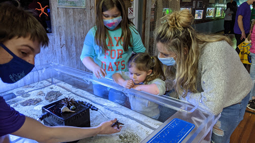 Aquarium «Team ECCO Ocean Center & Aquarium», reviews and photos, 511 N Main St, Hendersonville, NC 28792, USA