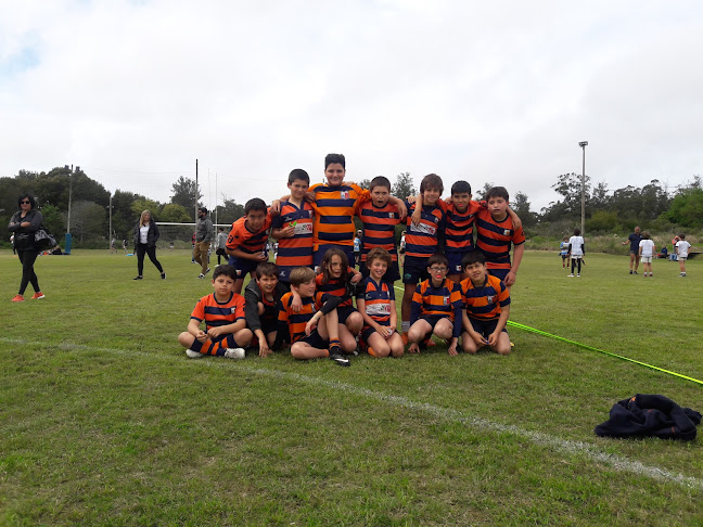 Lobos Rugby Club - Campo de fútbol