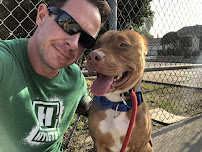 K9 Intuition Dog Training and Dog Boarding - Photo 4 - Car repair in Acton, CA, Palmdale