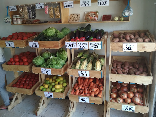 Opiniones de Verdulería "con todo sino pa'que" frutas y verduras a domicilio en La Serena - Frutería