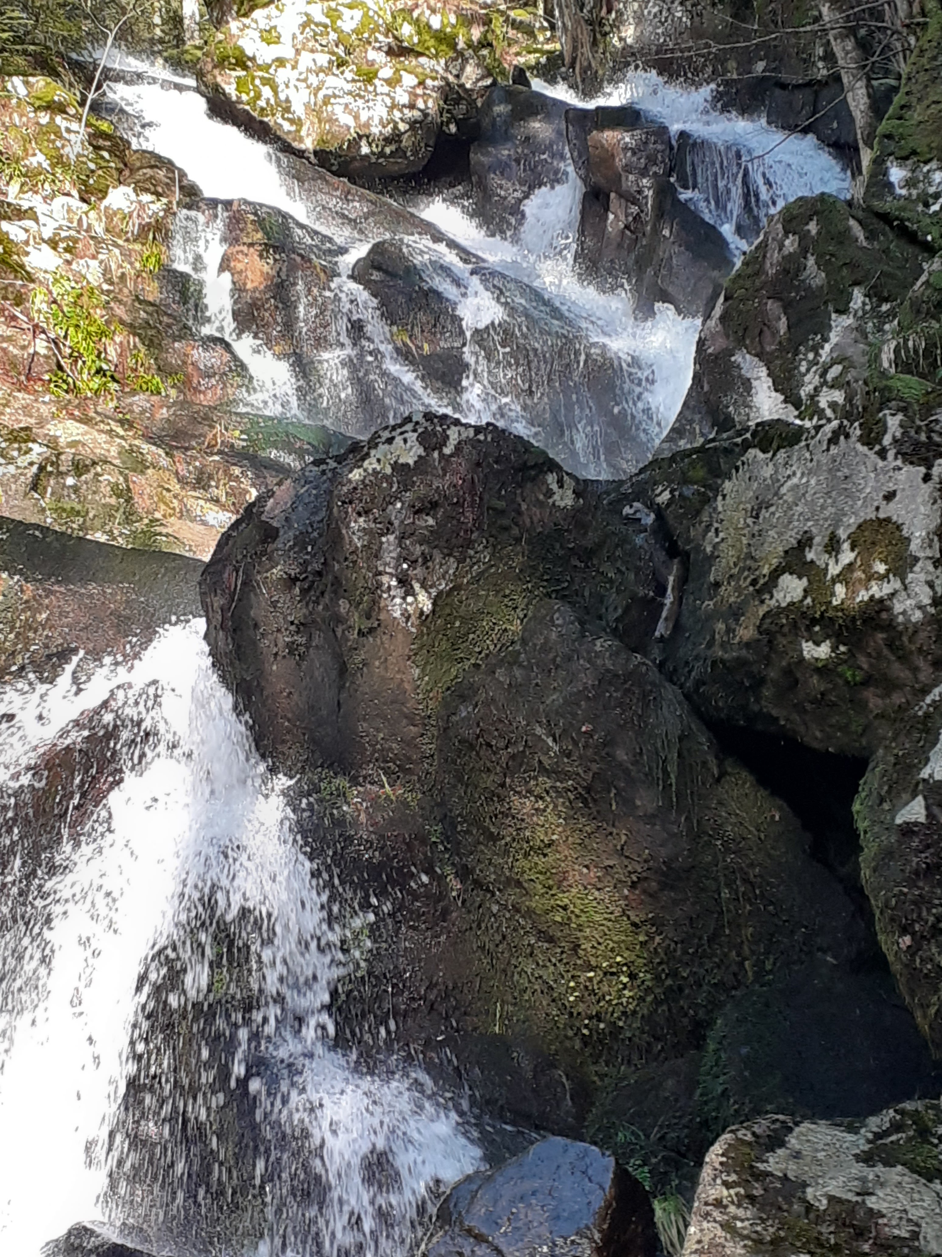 Photo n° 3 de l'avis de seyer.e fait le 23/02/2020 à 10:09