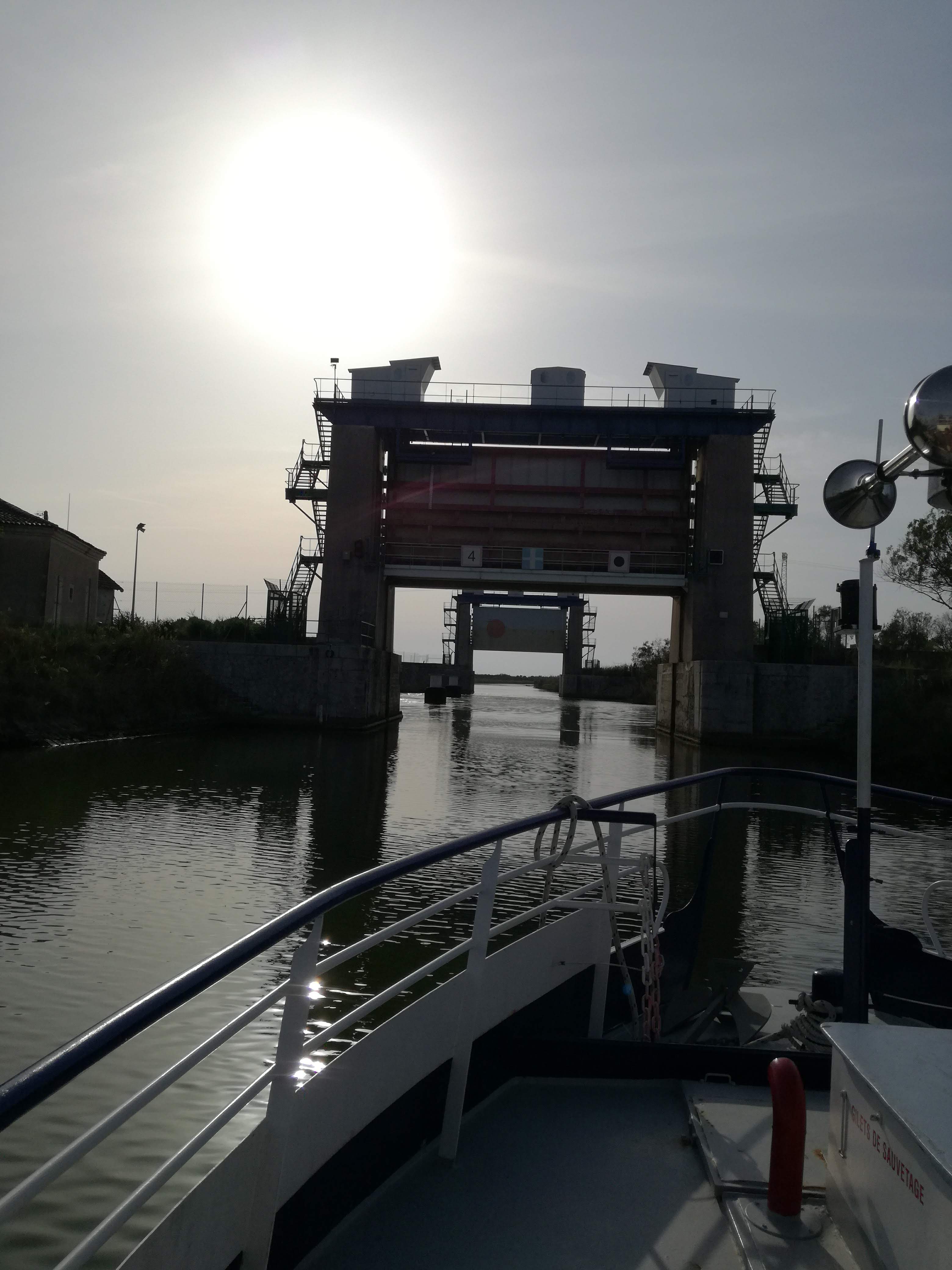 Photo n° 2 de l'avis de piou.i fait le 14/10/2019 à 08:28