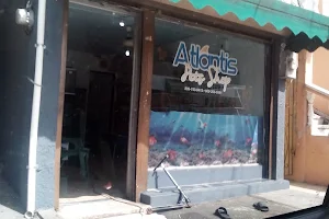 Atlantis Pet Shop image