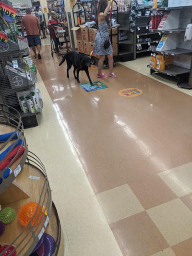 Dog stores Honolulu