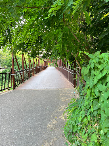 Iron bridge on Burnhamthorpe Trail
