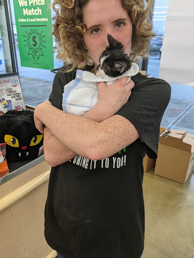 Pet Supply Store «Pet Supplies Plus», reviews and photos, 1155 Washington Pike, Bridgeville, PA 15017, USA