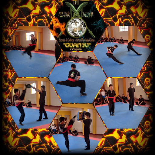 Kung Fu Wushu Escuela de Cultura y Artes Marciales Chinas 