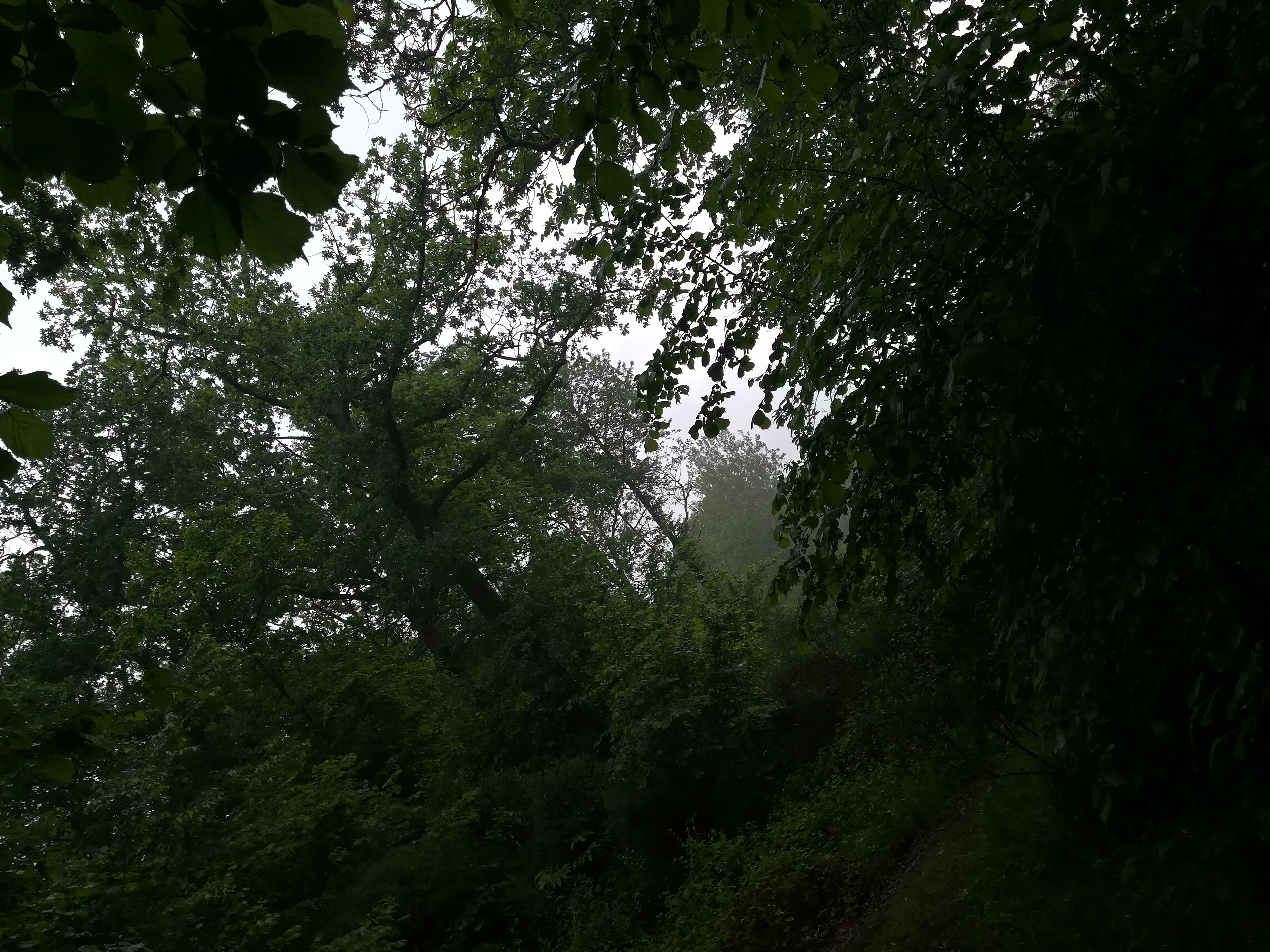 Photo n° 11 de l'avis de Nathalie.e fait le 17/06/2019 à 19:40