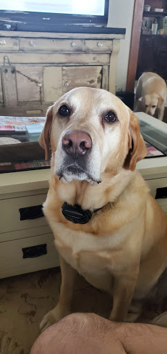 Golf Course «Turkey run golf course», reviews and photos, 11836 Bixby Hill Rd, Arcade, NY 14009, USA