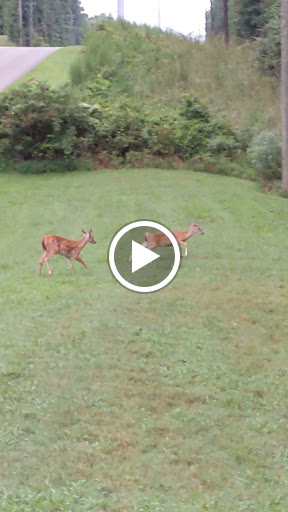 Park «Big Creek Park», reviews and photos, 1600 Old Alabama Rd, Roswell, GA 30076, USA