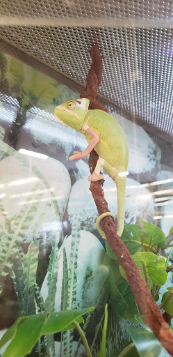 Pet Supply Store «Petco Animal Supplies», reviews and photos, 1015 Fording Island Rd, Bluffton, SC 29910, USA