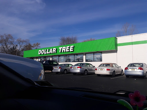 Dollar Store «Dollar Tree», reviews and photos, 508 S White Horse Pike, Somerdale, NJ 08083, USA