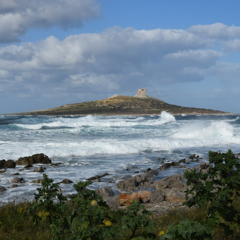 Marine Protected Area Capo Gallo - Isola delle Femmine