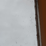 Photo n°45 de l'avis de blacky.l fait le 26/11/2022 à 08:31 sur le  ACHAT Hotel Franziskushöhe Lohr à Lohr a. Main