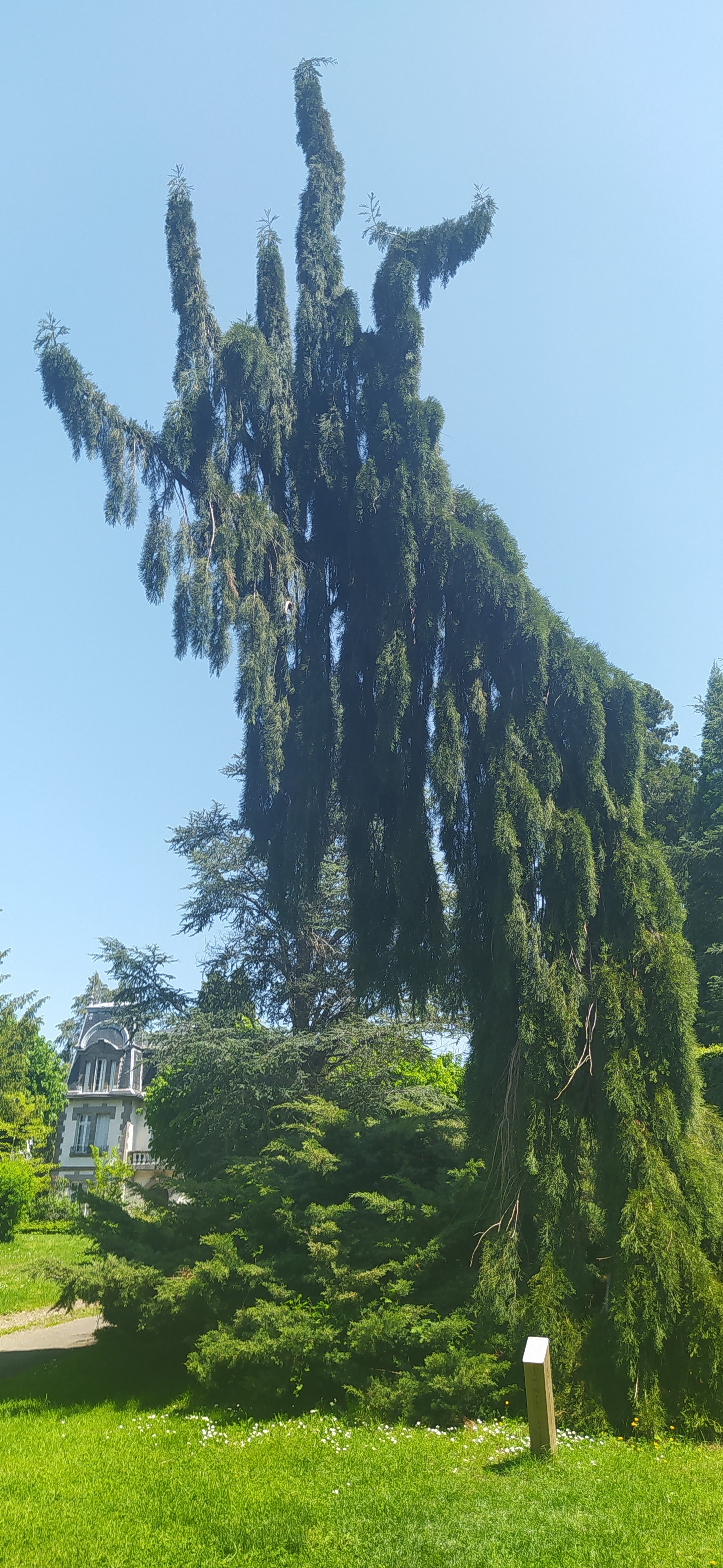 Photo n° 2 de l'avis de Cassiopée.A fait le 29/05/2023 à 17:03