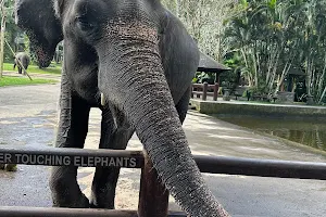 Elephant Safari Park Lodge Bali image