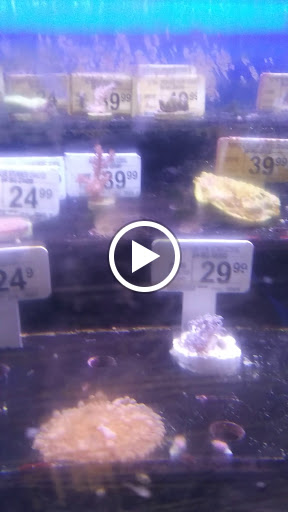 Pet Supply Store «Petco Animal Supplies», reviews and photos, 6596 Youree Dr, Shreveport, LA 71105, USA