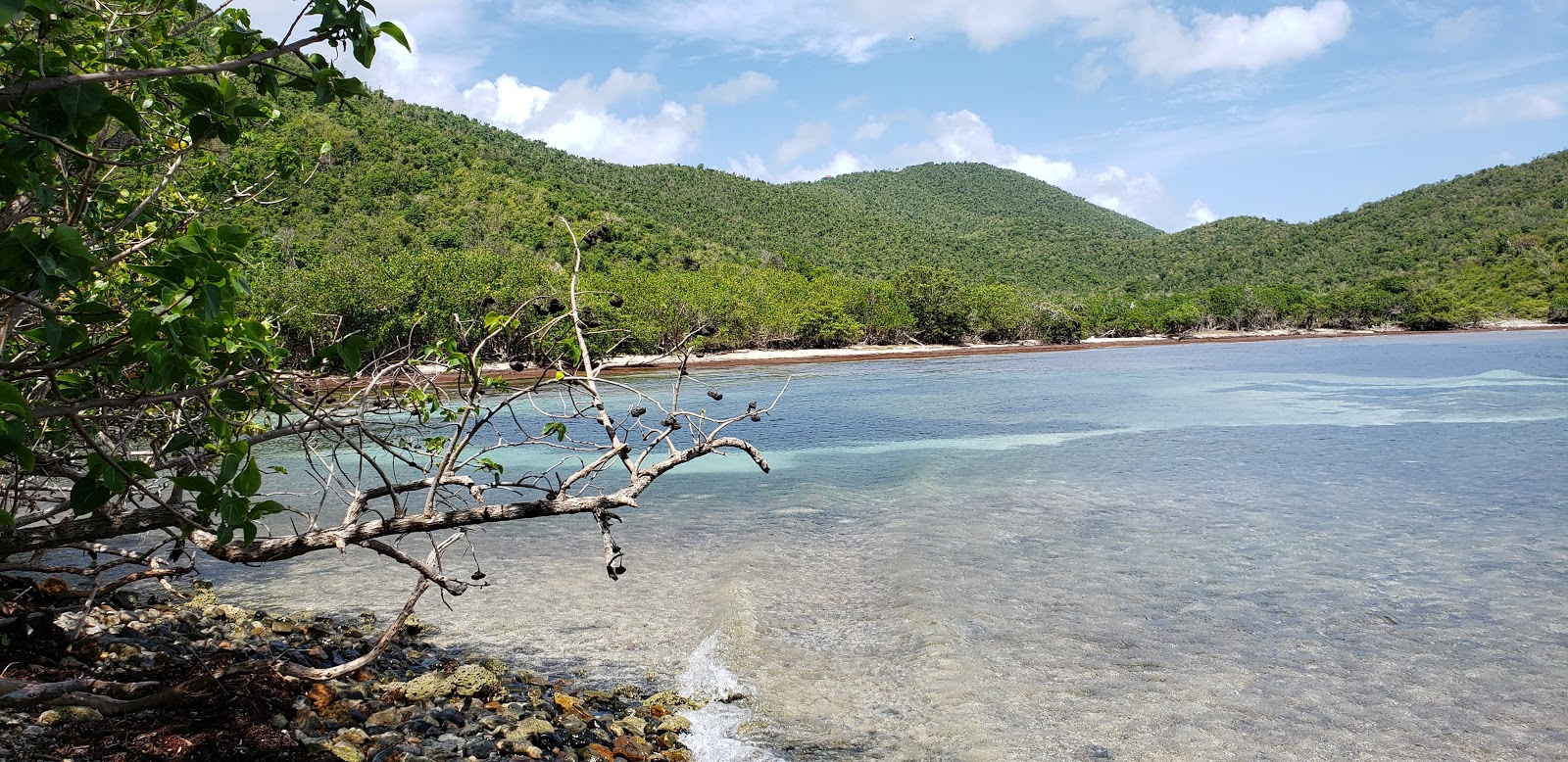 Foto af Brown Bay Beach med høj niveau af renlighed