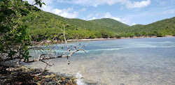 Brown Bay Beach'in fotoğrafı vahşi alan