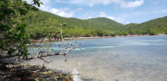 Brown Bay Beach