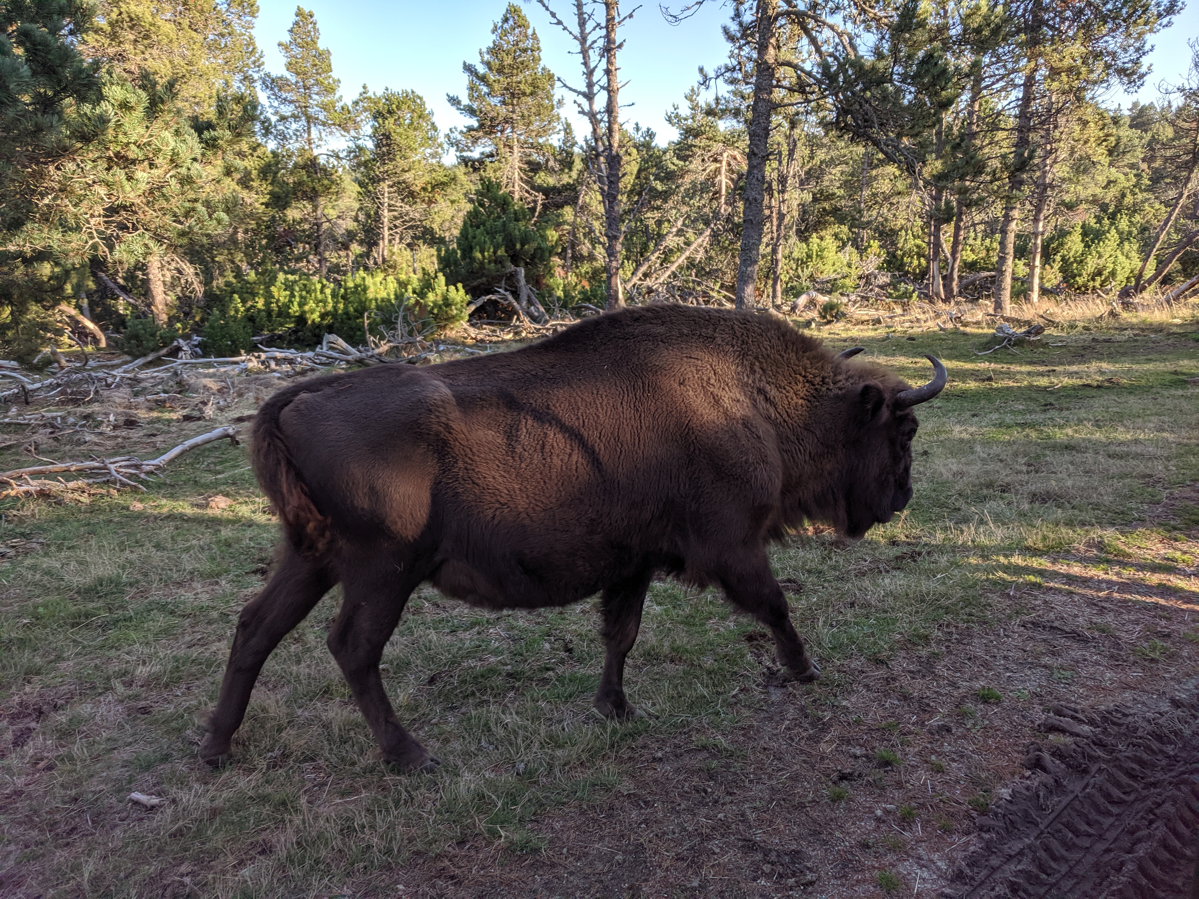 Photo n° 4 de l'avis de nicolas.a fait le 26/10/2019 à 15:33