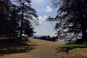 Naldehra Picnic Spot image