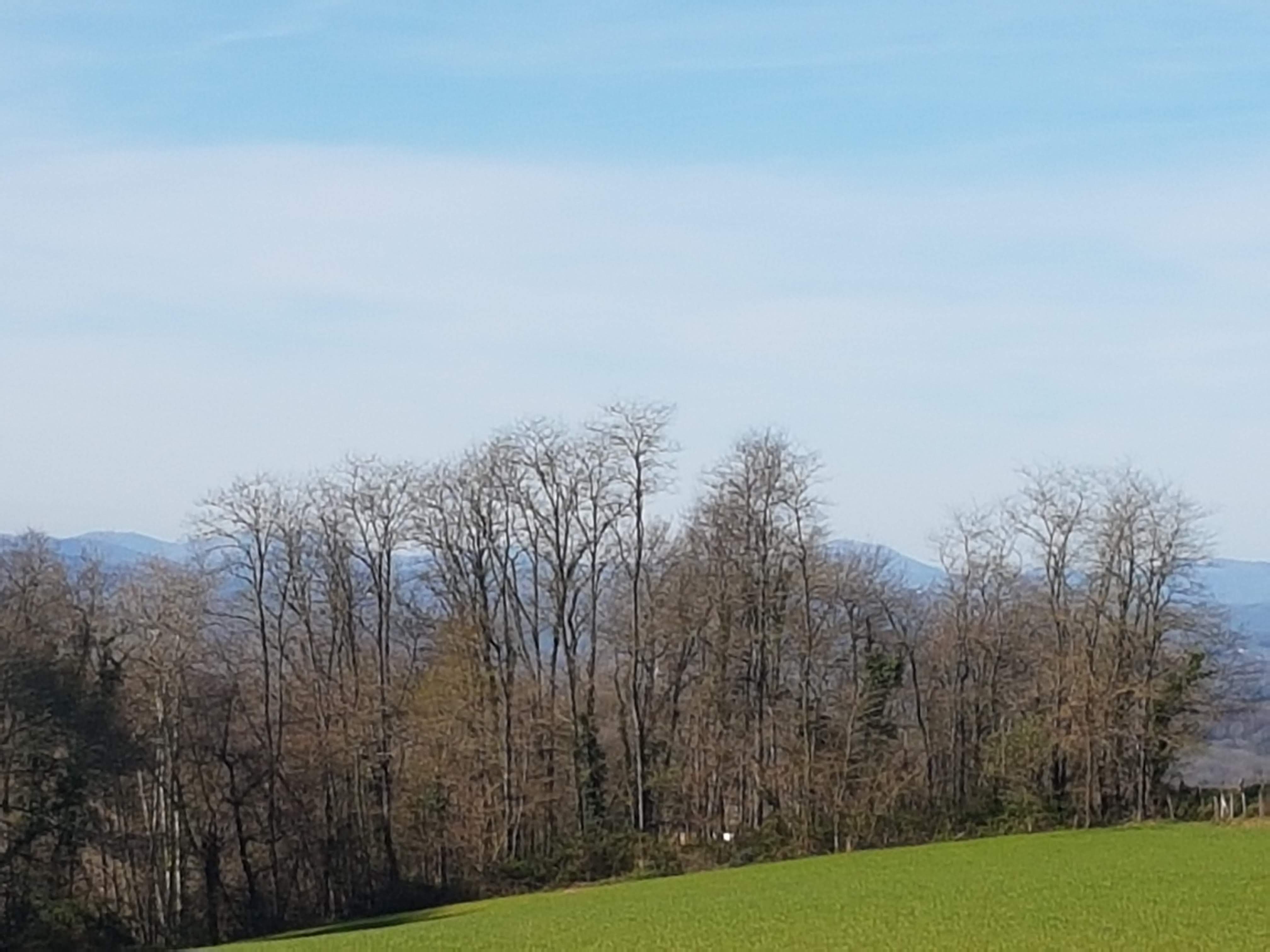 Photo n° 4 de l'avis de Christian.a fait le 03/05/2019 à 19:47