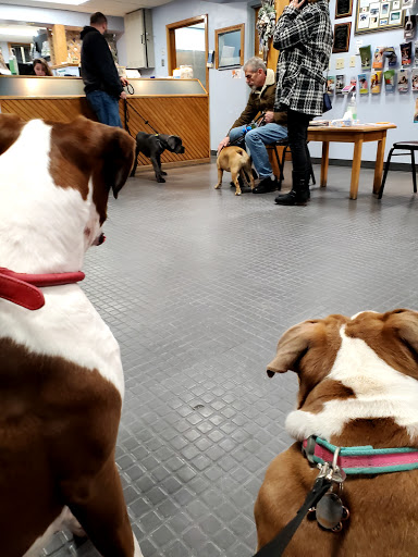 North Shore Animal Hospital