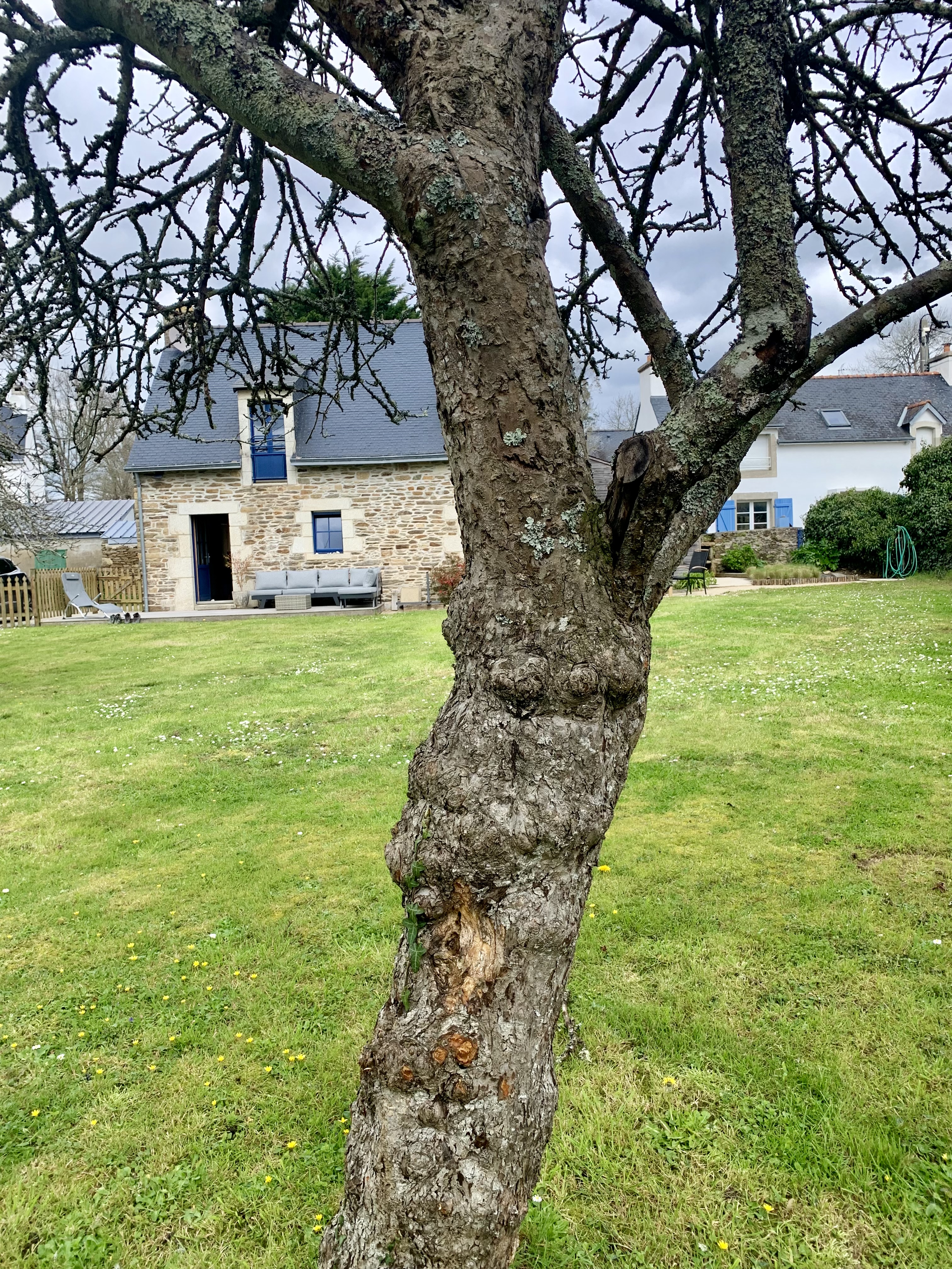 Photo n° 1 de l'avis de Patln.s fait le 10/04/2023 à 11:41