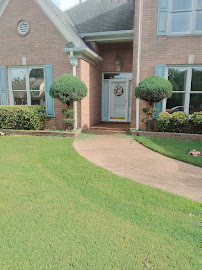 Landscaping Alex - Photo 7 - Car repair in , Memphis