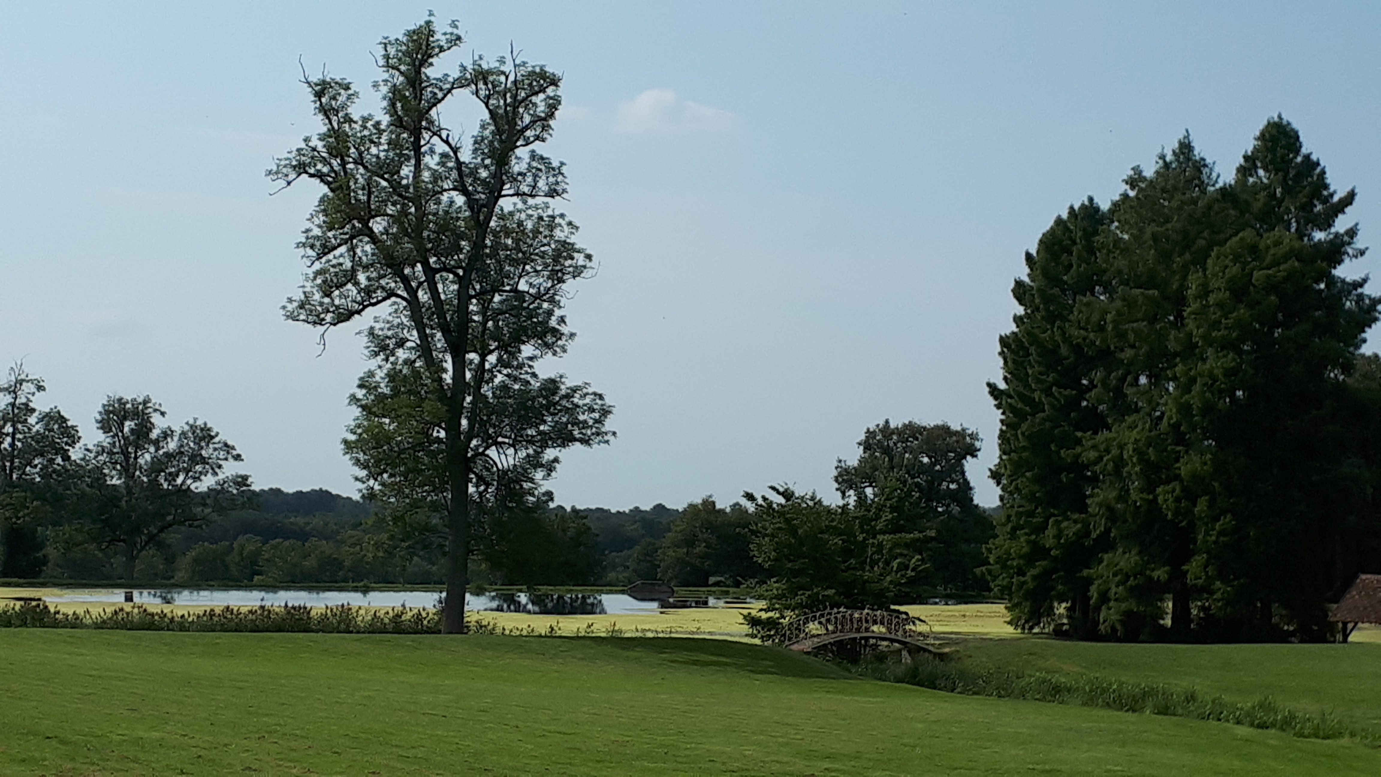 Photo n° 6 de l'avis de Isabelle.a fait le 21/08/2021 à 15:52
