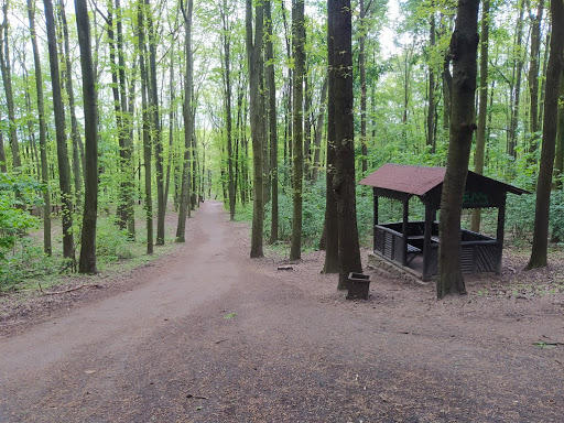 Přírodní park Košíře-Motol