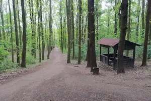 Natural park Košíře-Motol image