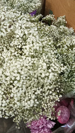 Florist «The Flower Place», reviews and photos, 860 NE 79th St, Miami, FL 33138, USA