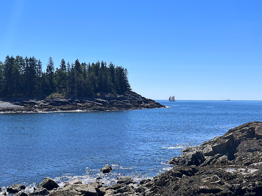 Tourist Information Center «Coastal Kayaking Tours Inc», reviews and photos, 48 Cottage St, Bar Harbor, ME 04609, USA
