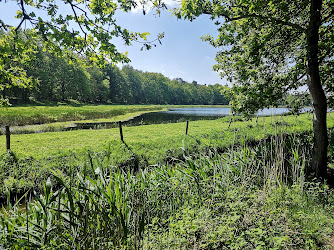 Natuurgebied Pannenhoef