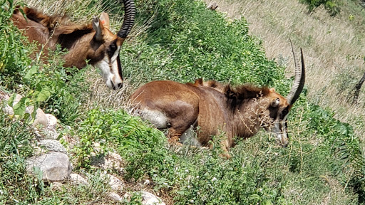 Zoo «Alaskan Adventure Henry Doorly Zoo», reviews and photos, 3701 S 10th St, Omaha, NE 68107, USA