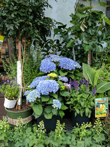 Florist «West Village Florist», reviews and photos, 70 Greenwich Ave, New York, NY 10011, USA